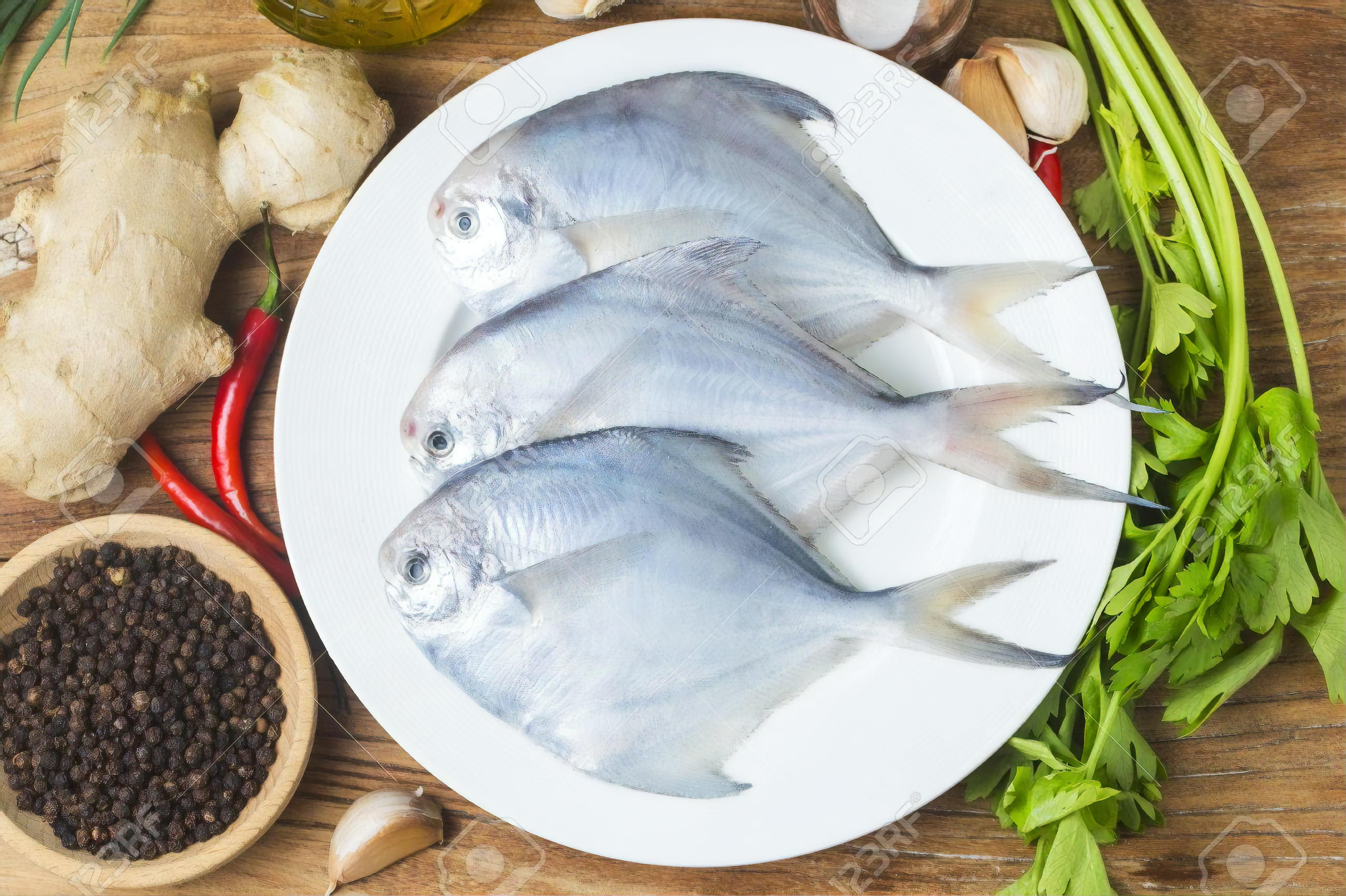 White Pomfret Steak