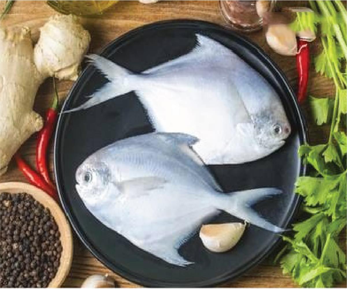 White Pomfret Whole Cleaned