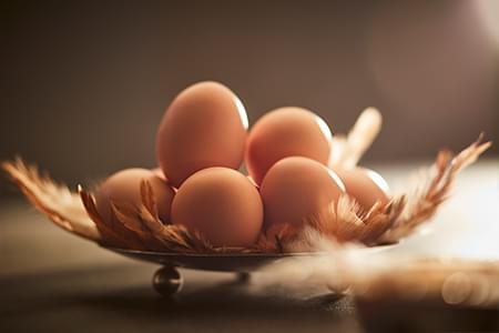 Brown Eggs