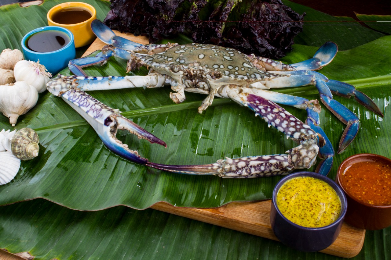 Blue Swimming Crab - Cleaned (200g-300g)