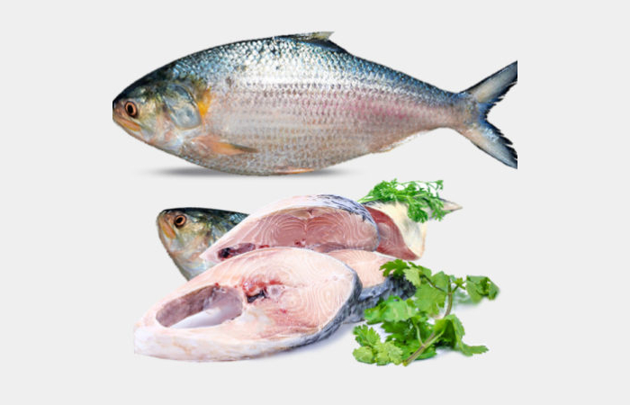 Bangladesh Hilsa (600-700 Gm) - Steak With Head
