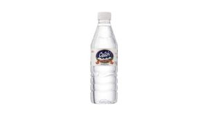 CATCH WATER 500ML
