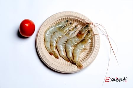 White Prawn Large Size (Fresh)
